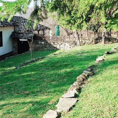 Semesterbostad Dzhelepova Guest House- Pool Access